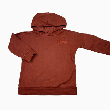 Pull à capuchon rouille 3-5Y