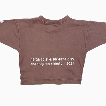 Pull latté en coton 1Y