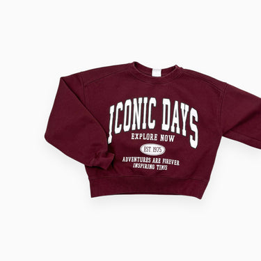 Pull bordeau cropped en coton ouaté et poly 'Iconic days' 10Y