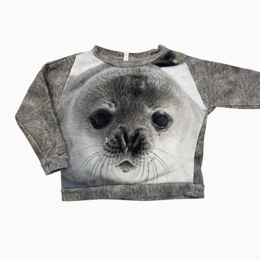 Pull en coton bio french terry à imprimé phoque 2-3Y