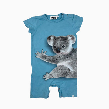 Combi aqua 'koala' 80CM 18M