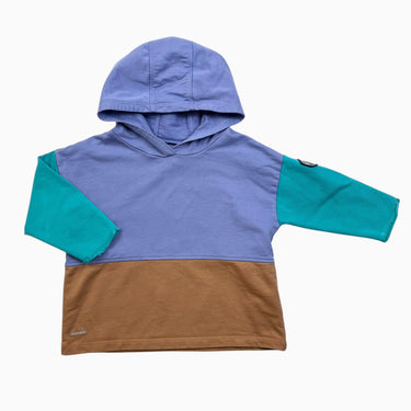 Pull à capuchon colorblock 12-18M