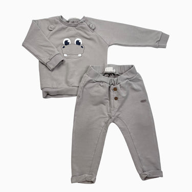 Ensemble hippo 9M