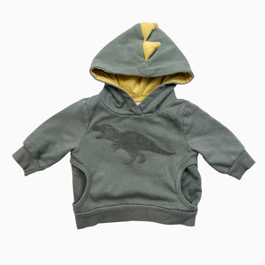 Pull à capuchon dinosaure sauge 3-6M
