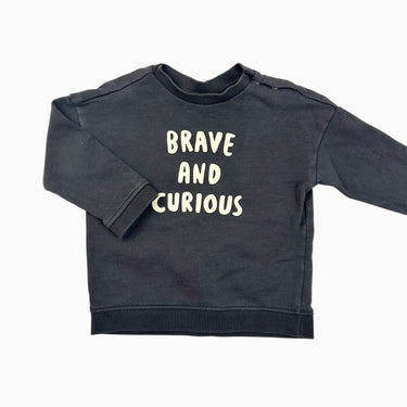 Pull anthracite 'Brave and curious' 12-18M