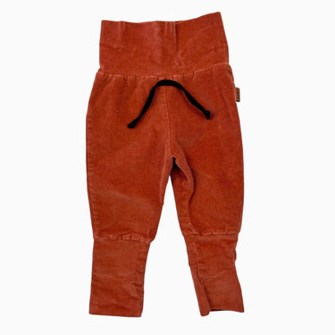 Pantalon paprika en corduroy brossé extensible 0-12M