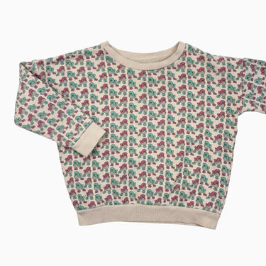 Pull caniches 3-4Y