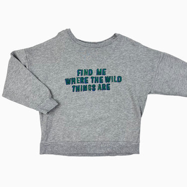 Pull gris 'Find me where the wild' 7-8Y