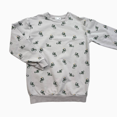 Pull gris 'dragons' 10Y