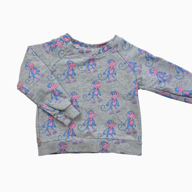 Pull gris singes coton bio 2Y