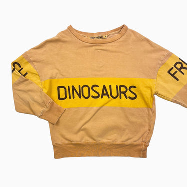 Pull orange dino 6Y