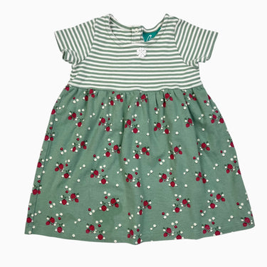 Robe verte en coton bio à imprimé fraises et rayures 12-18M